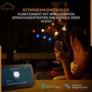 Homezie Smart Lichterkette | 10 Meter | Steuerbar über App | IP65 Wasserdicht | RGBW | Smarte Beleuchtung | Kann mit Musik synchronisiert werden