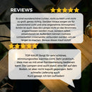 Homezie Lichterkette mit Solarenergie | IP65 Wasserdicht | Mit Fernbedienung | S14 LED-Lampen | Solar-Gartenbeleuchtung