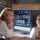 Homezie® Tageslichtlampe | 10.000 Lux | UV-frei | Eingebaute Timer | 3000-6500K | Steigern Sie Ihr Energieniveau, Ihren Fokus & Ihre Stimmung!