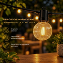 Homezie G60 Ersatzlampen | 4× LED-Ersatzlampen | 2700K Warmweiß | Kunststoff | Für G60-Lichterketten | Außenbeleuchtung