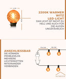Homezie® Lichterkette 15 Meter mit 30 LED-Birnen | Tannenzapfen-Design | Inklusive 3m Verlängerungskabel mit Dimmer | Wasserdicht | Warmweiß | Verbindbar & Dimmbar