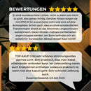 Homezie® Lichterkette | Warmweiß | G40 LED-Lampen | Wasserdicht | Dimmbar & Verbindbar | Außenbeleuchtung | Verschiedene Längen erhältlich