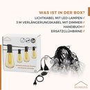 Homezie Lichterkette 15 Meter mit 25 großen LED-Birnen | IP45 Wasserdicht | Warmweiß | Verbindbar & Dimmbar