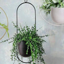 Homezie.de-Homezie Hängender Blumentopf | Moderner Halo-Design | Platzsparende Lösung für Pflanzenpflege