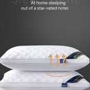 Homezie.de-Homezie Kissen | Hypoallergen | 2 Stück Zervikale Unterstützung