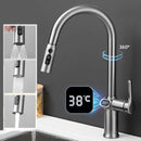 Homezie.de-Homezie Küchenarmatur | Digitale Temperaturanzeige | Flexibler Einsatz mit ausziehbarem Auslauf