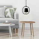 Homezie.de Homezie Pendelleuchte | Wiederaufladbar | Innen- und Außenbeleuchtung