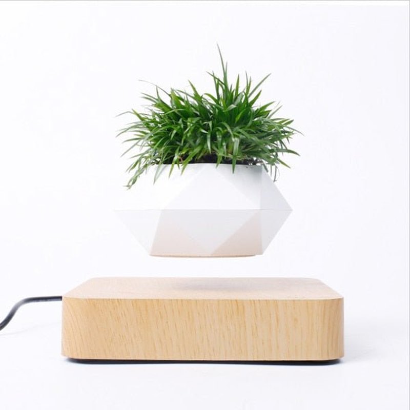 Homezie.de-Homezie Schwebender Blumentopf | Magnetische Levitation | Moderne Pflanzenpräsentation