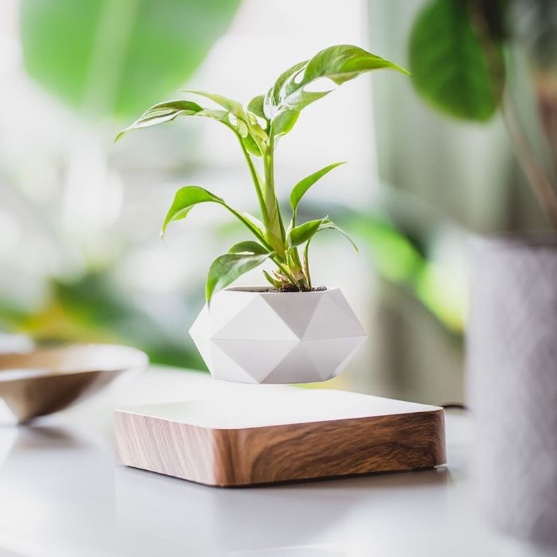 Homezie.de-Homezie Schwebender Blumentopf | Magnetische Levitation | Moderne Pflanzenpräsentation