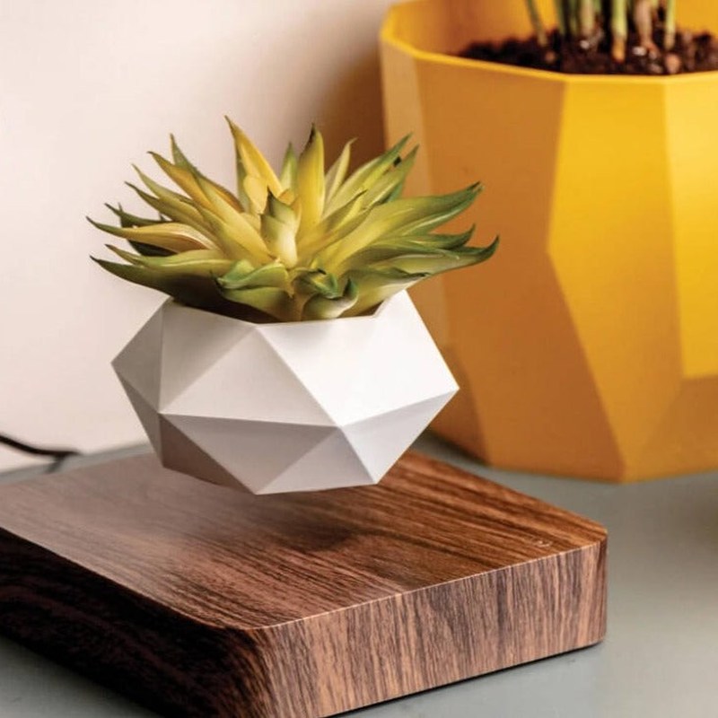 Homezie.de-Homezie Schwebender Blumentopf | Magnetische Levitation | Moderne Pflanzenpräsentation