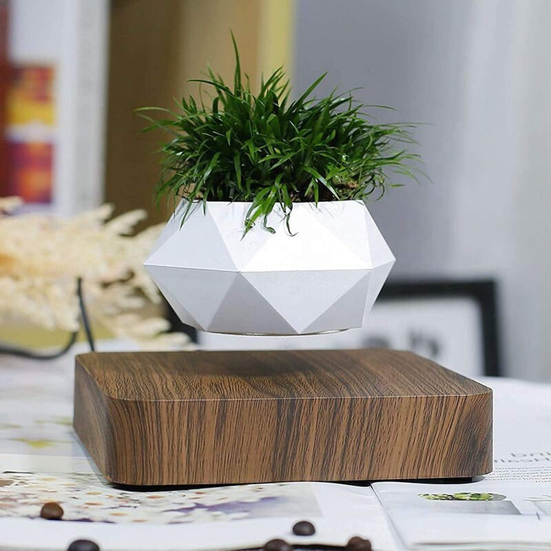 Homezie.de-Homezie Schwebender Blumentopf | Magnetische Levitation | Moderne Pflanzenpräsentation