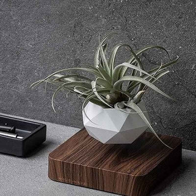 Homezie.de-Homezie Schwebender Blumentopf | Magnetische Levitation | Moderne Pflanzenpräsentation