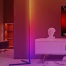 Homezie.de-Homezie Stehlampe | RGB Farbwechsel | Für Innen- und Außenbeleuchtung