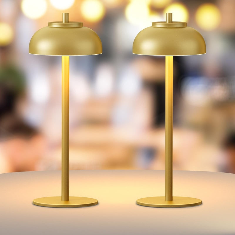 Homezie.de Table lamp Homezie Tischlampe | Drahtlos | Berührungssteuerung für flexibles Licht