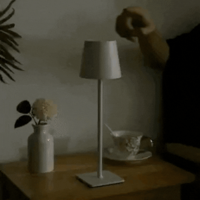 Homezie.de-VLP003-Homezie Tischlampe | USB Aufladung | Indoor- und Outdoor-Nutzung