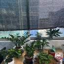 Homezie Schattierungsnetz | UV-beständig & Atmungsaktiv | Für Garten, Terrasse und Balkon