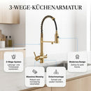 Homezie 3-Wege-Küchenarmatur | Ausziehbare Brause, 360° schwenkbar & Trinkwasseranschluss | Für moderne Küchen