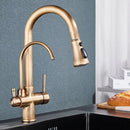 Homezie 3-Wege-Küchenarmatur | Ausziehbare Brause, Trinkwasseranschluss & 360° schwenkbar | Für moderne Küchen
