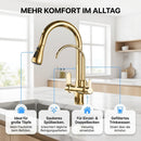 Homezie 3-Wege-Küchenarmatur | Ausziehbare Brause, Trinkwasseranschluss & 360° schwenkbar | Für moderne Küchen