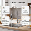 Homezie Küchenarmatur | Ausziehbare Brause mit 2 Strahlarten & Warm-/Kaltwasser | Für moderne Küchen