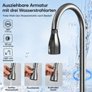 Homezie Küchenspüle | 304 Edelstahl, Digitalanzeige & 3 Wasserstrahlarten | Für moderne Küchen